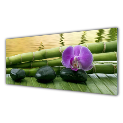 Steklena slika Flower stones bamboo narava