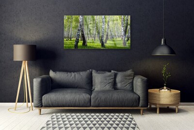 Steklena slika Gozdna drevesa narava