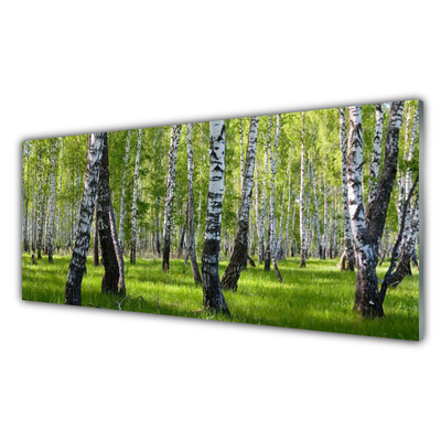Steklena slika Gozdna drevesa narava