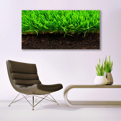 Steklena slika Grass nature rastlin