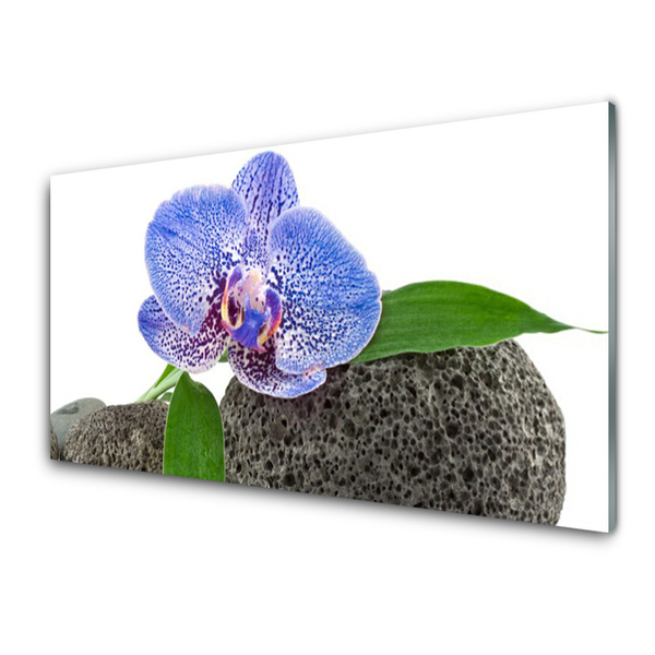 Steklena slika Narava cvet rastlina