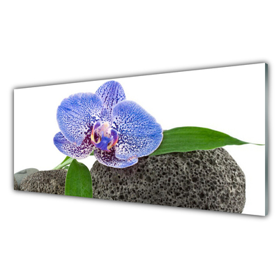Steklena slika Narava cvet rastlina