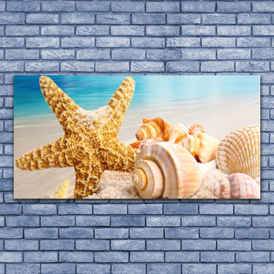 Steklena slika Starfish shell art