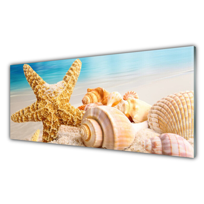 Steklena slika Starfish shell art
