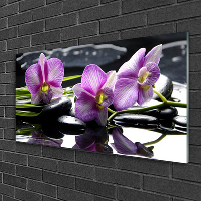 Steklena slika Cvet orhideje rastlin