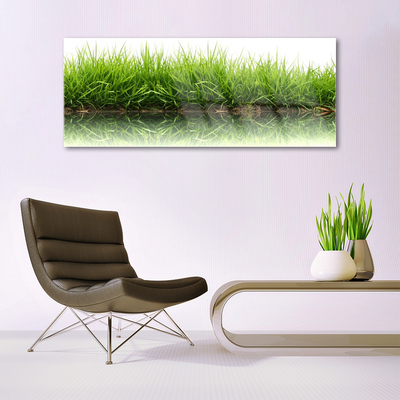 Steklena slika Grass nature rastlin