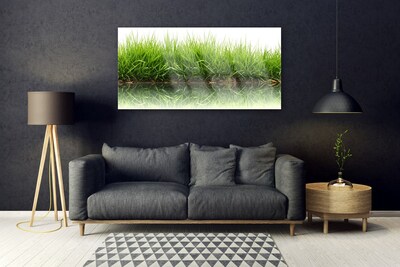 Steklena slika Grass nature rastlin