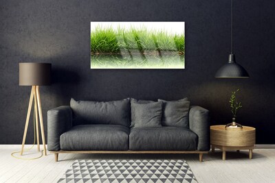 Steklena slika Grass nature rastlin