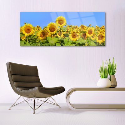 Steklena slika Sončnica flower rastlin