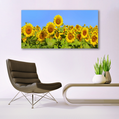 Steklena slika Sončnica flower rastlin