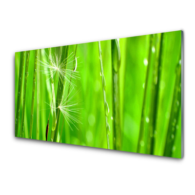 Steklena slika Grass nature rastlin