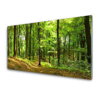 Steklena slika Forest narava pot