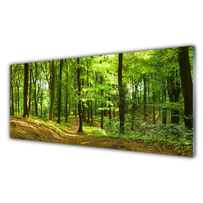 Steklena slika Forest narava pot