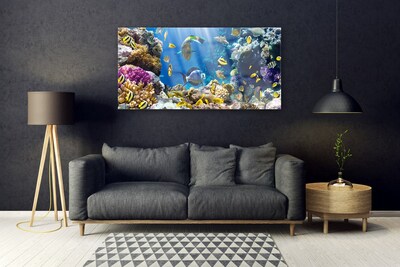 Steklena slika Barrier reef narava