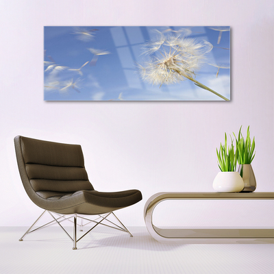 Steklena slika Dandelion rastlin