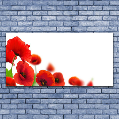 Steklena slika Red poppies narava