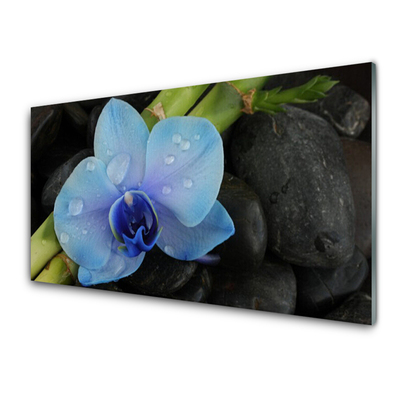 Steklena slika Stones cvet rastlina