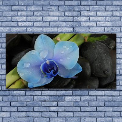 Steklena slika Stones cvet rastlina