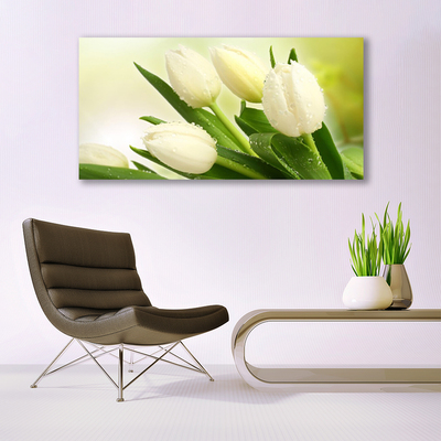 Steklena slika Tulipani cvetovi rastlin