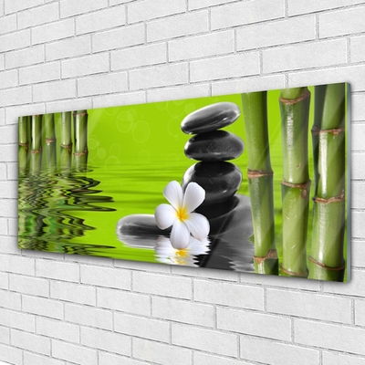 Steklena slika Stones bamboo rastlin