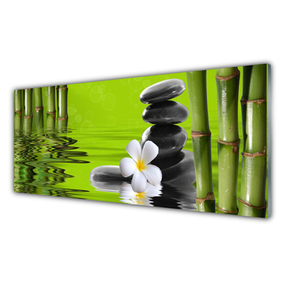Steklena slika Stones bamboo rastlin