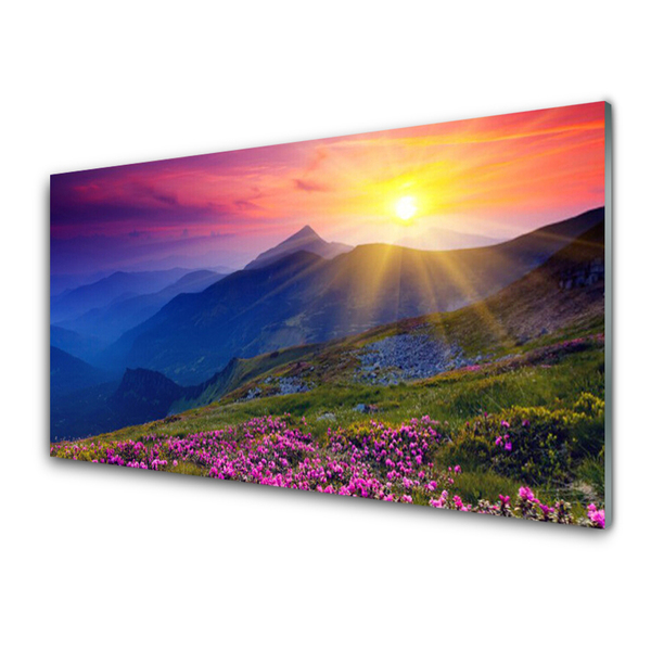 Steklena slika Flower mountain travnik landscape
