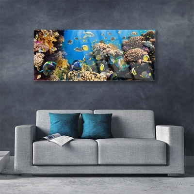 Steklena slika Barrier reef narava