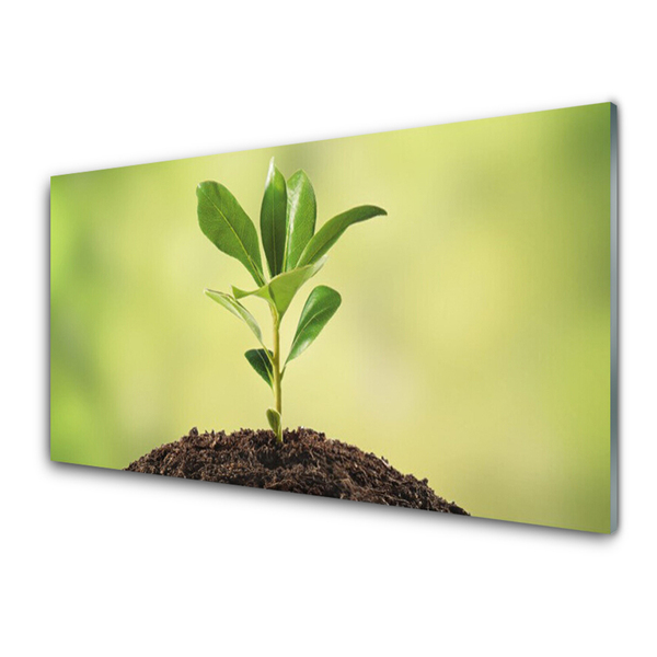 Steklena slika Zemlja rastlin rast