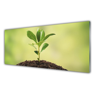 Steklena slika Zemlja rastlin rast