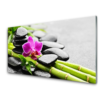 Steklena slika Flower bamboo stones art