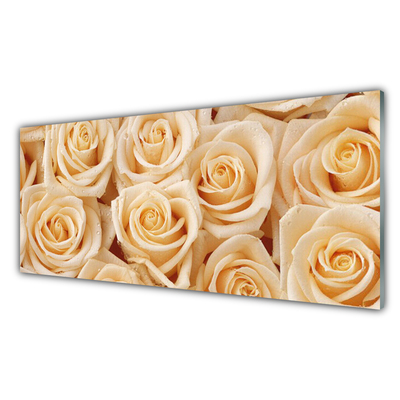 Steklena slika Roses flowers rastlin
