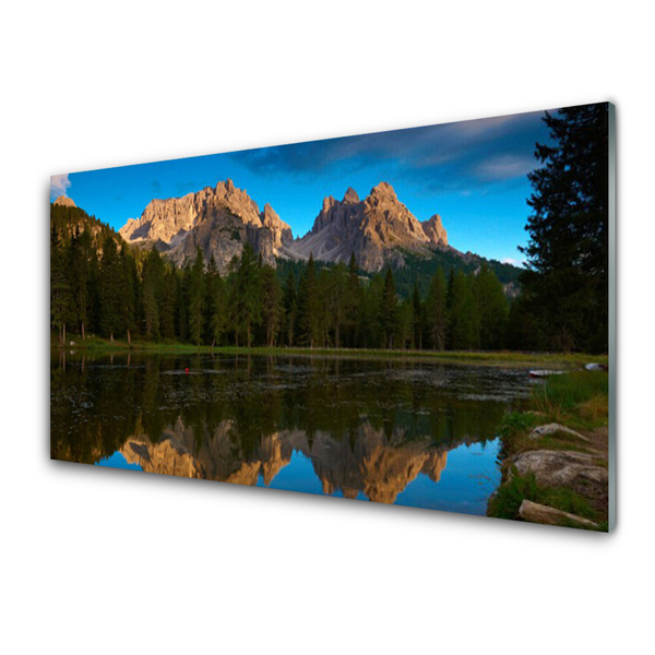 Steklena slika Forest lake landscape