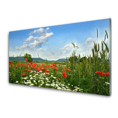 Steklena slika Travniškega cvetja nature rastlin