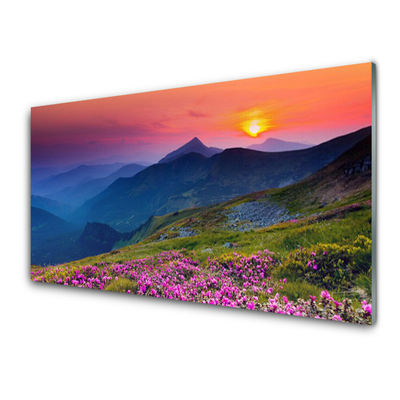 Steklena slika Mountain travnik flowers landscape