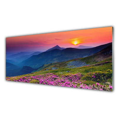 Steklena slika Mountain travnik flowers landscape