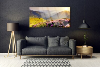 Steklena slika Mountain travnik landscape
