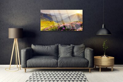 Steklena slika Mountain travnik landscape