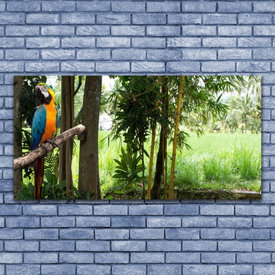 Steklena slika Parrot tree narava