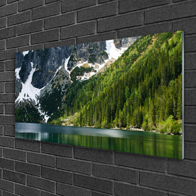 Steklena slika Lake forest mountain landscape