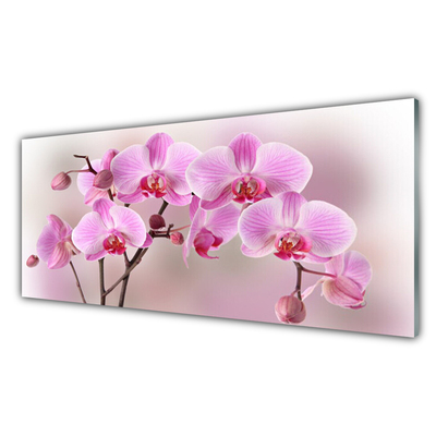 Steklena slika Cvetovi rastlin narava