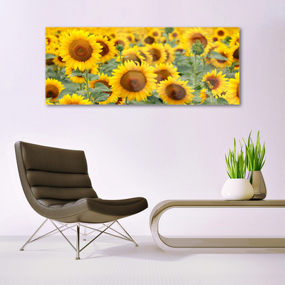 Slika na steklu Rastlina sončnice narava