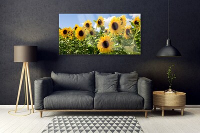 Slika na steklu Sončnica flower rastlin