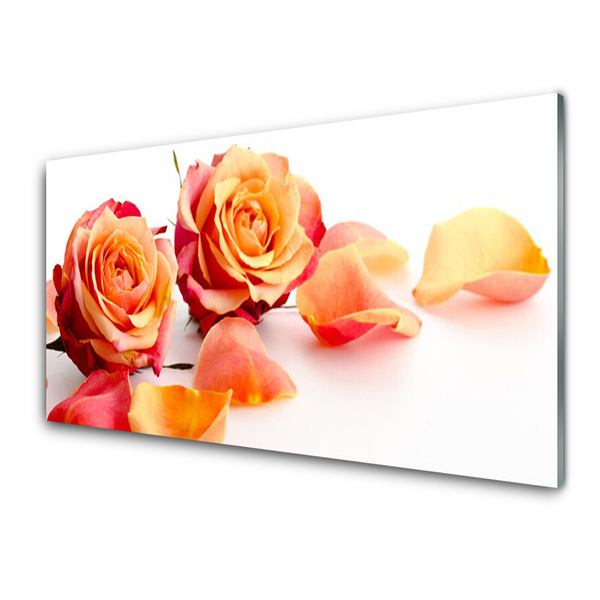 Slika na steklu Roses flowers rastlin
