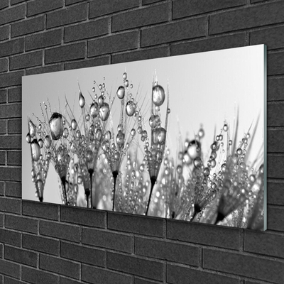 Slika na steklu Abstrakcija narava rastlin