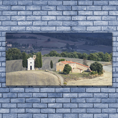 Slika na steklu Travnik drevesa landscape