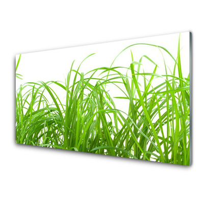 Slika na steklu Grass nature rastlin