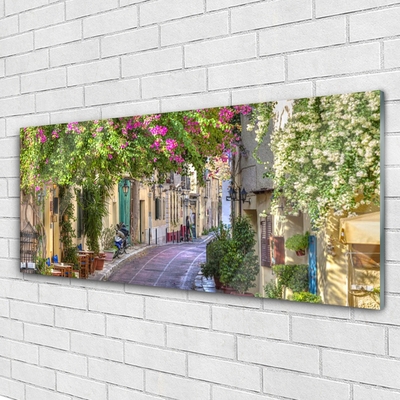Slika na steklu Hiše alley cvetovi rastlin