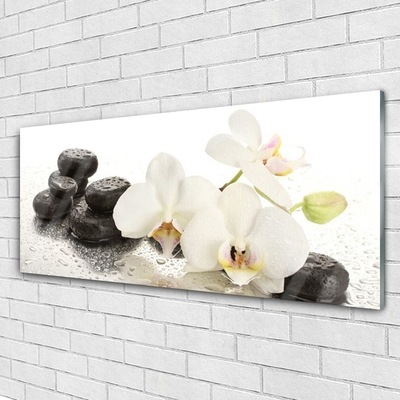 Slika na steklu Stones cvet rastlina