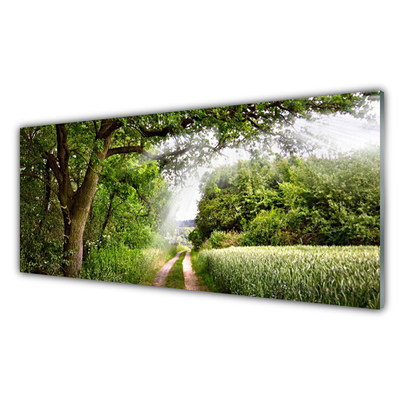 Slika na steklu Drevesa narava poti