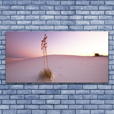 Slika na steklu Pesek desert landscape